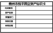固定